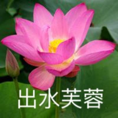 康斯戴尔报告2025年强劲业绩，瞄准巴西市场进一步增长